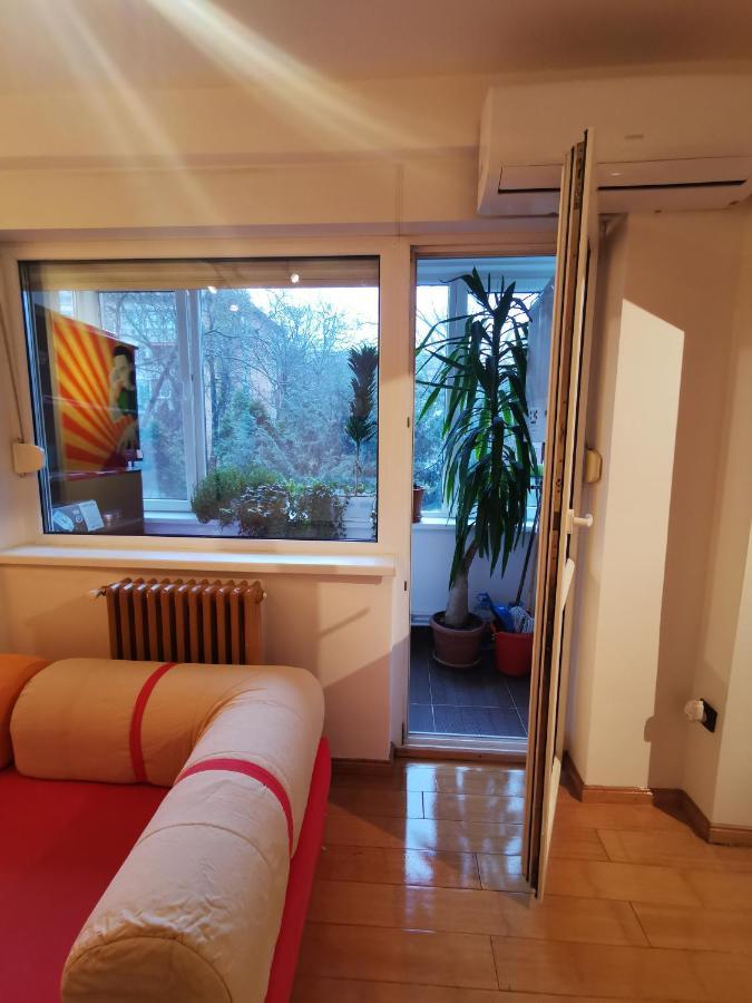 Comfy & Pleasant Apartment 10 Min Walk To Downtown Timişoara Extérieur photo