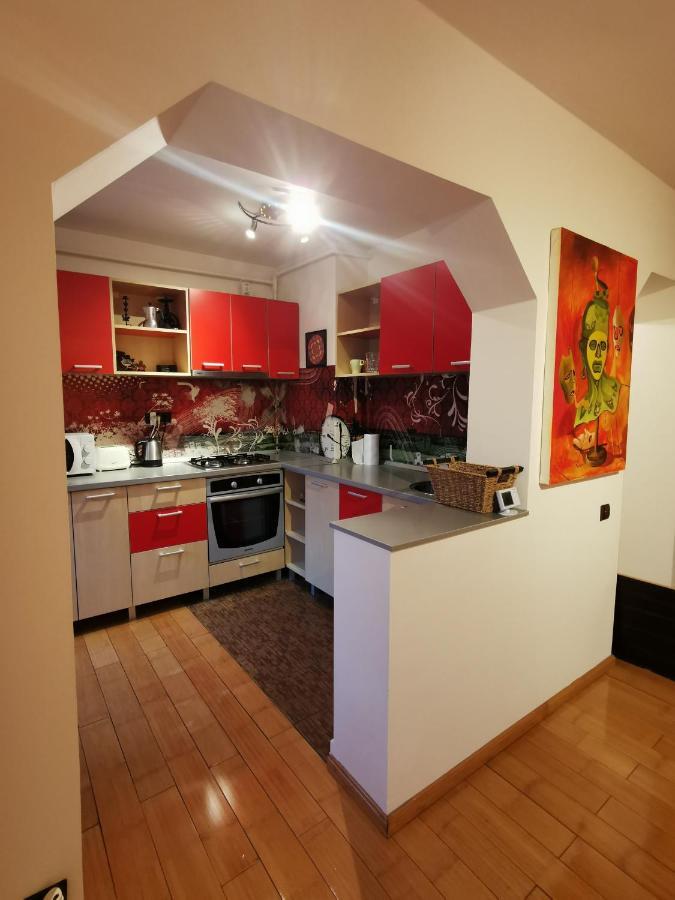 Comfy & Pleasant Apartment 10 Min Walk To Downtown Timişoara Extérieur photo