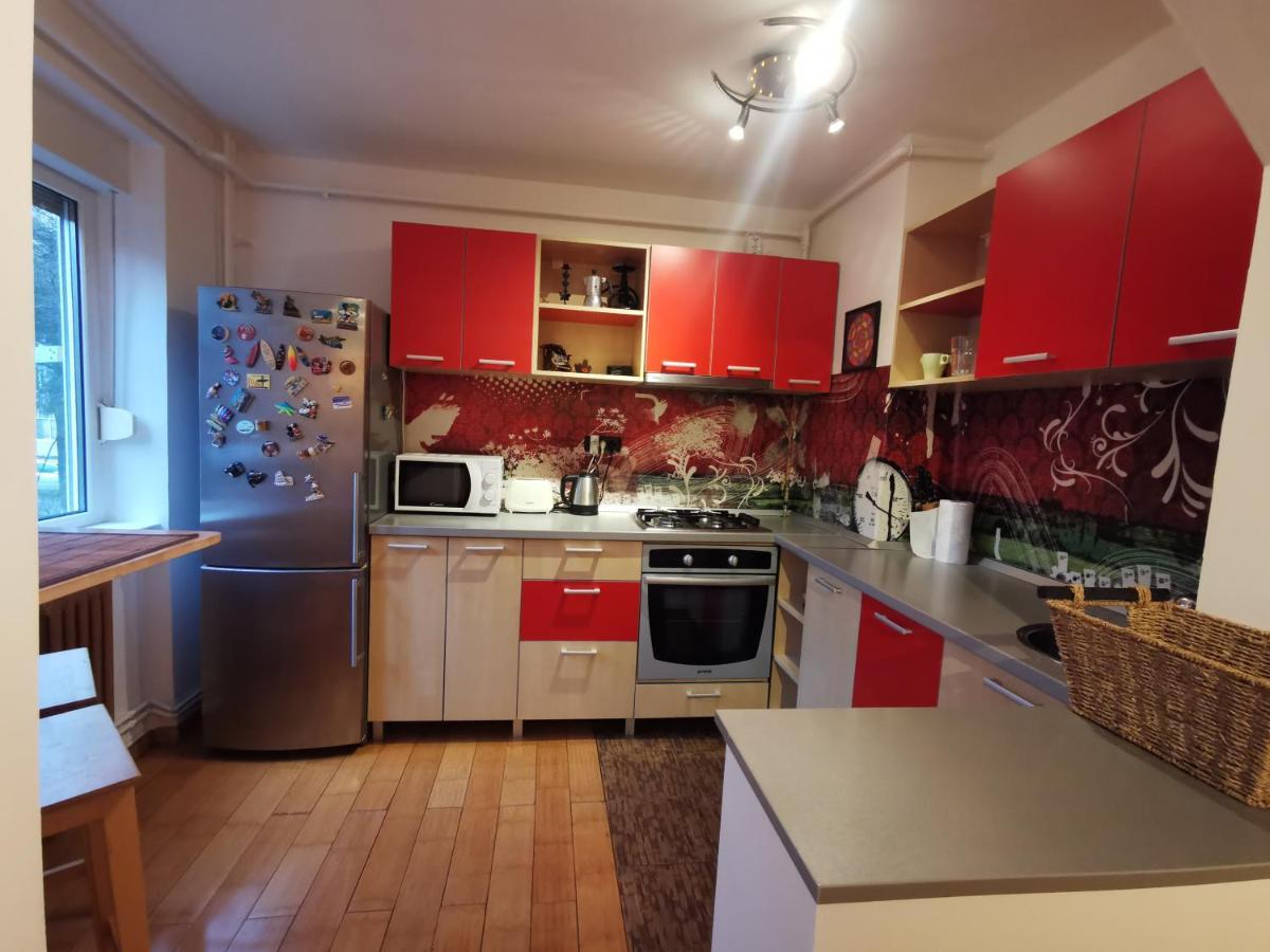Comfy & Pleasant Apartment 10 Min Walk To Downtown Timişoara Extérieur photo