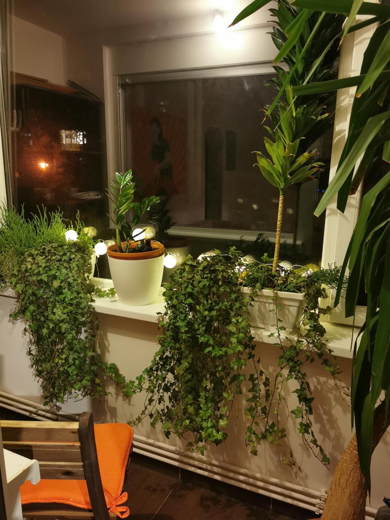 Comfy & Pleasant Apartment 10 Min Walk To Downtown Timişoara Extérieur photo