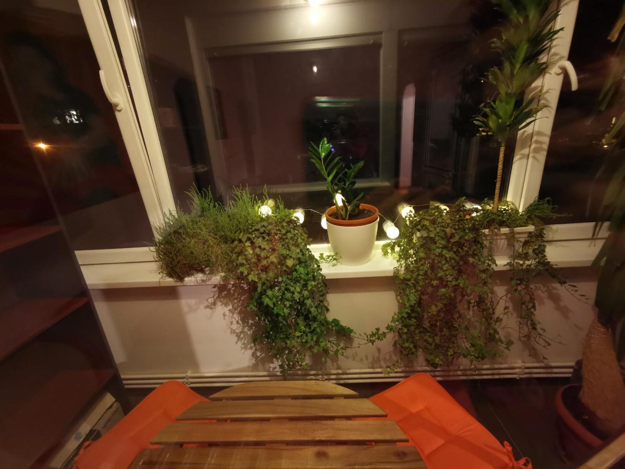Comfy & Pleasant Apartment 10 Min Walk To Downtown Timişoara Extérieur photo