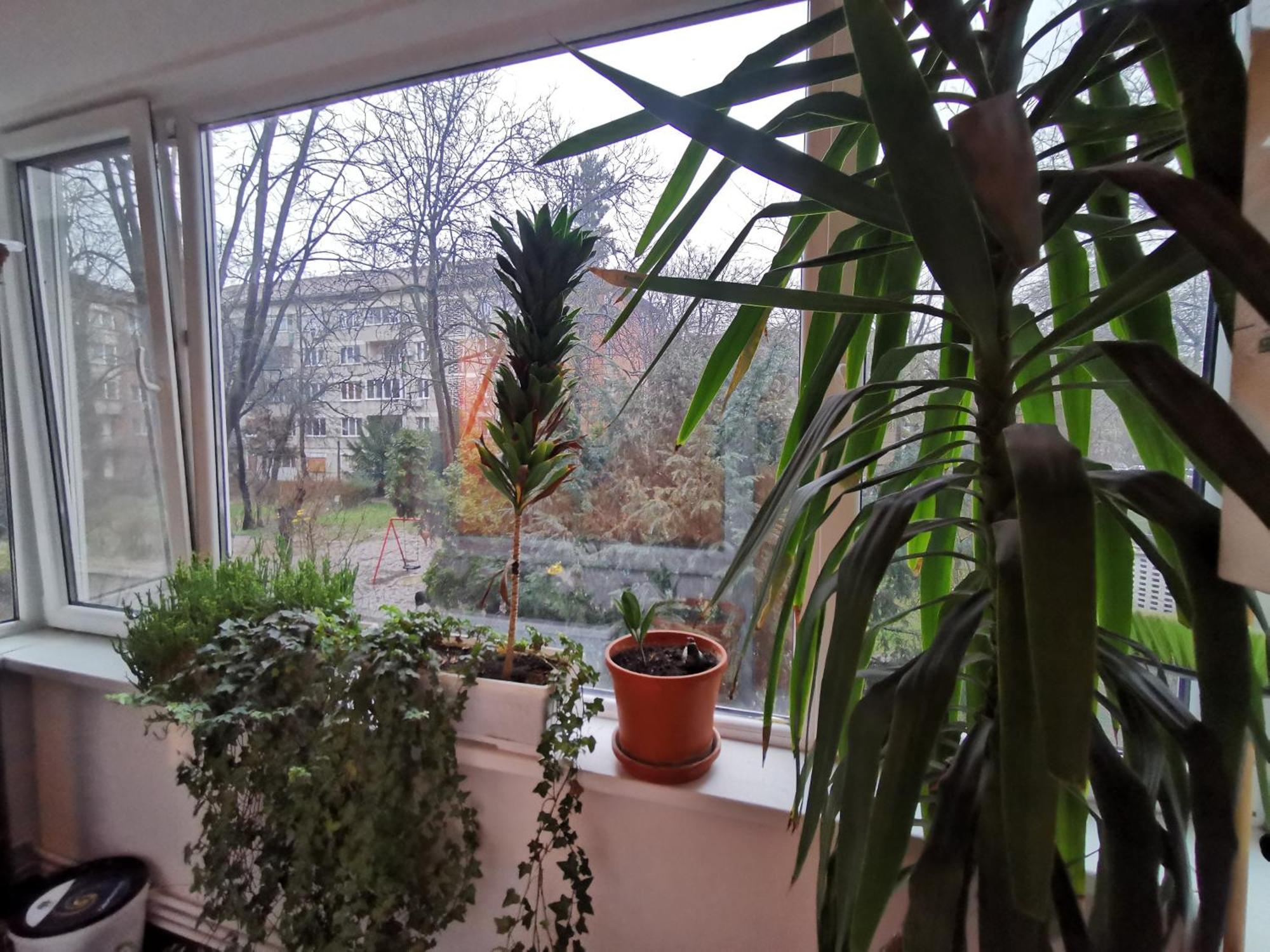 Comfy & Pleasant Apartment 10 Min Walk To Downtown Timişoara Extérieur photo